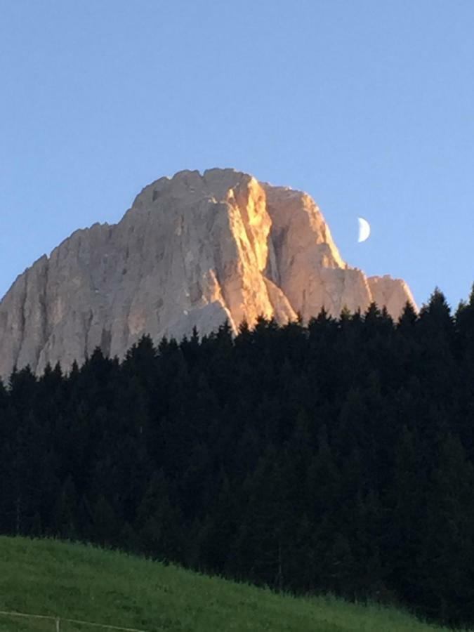 Hotel La Montanina Selva di Val Gardena Exterior foto